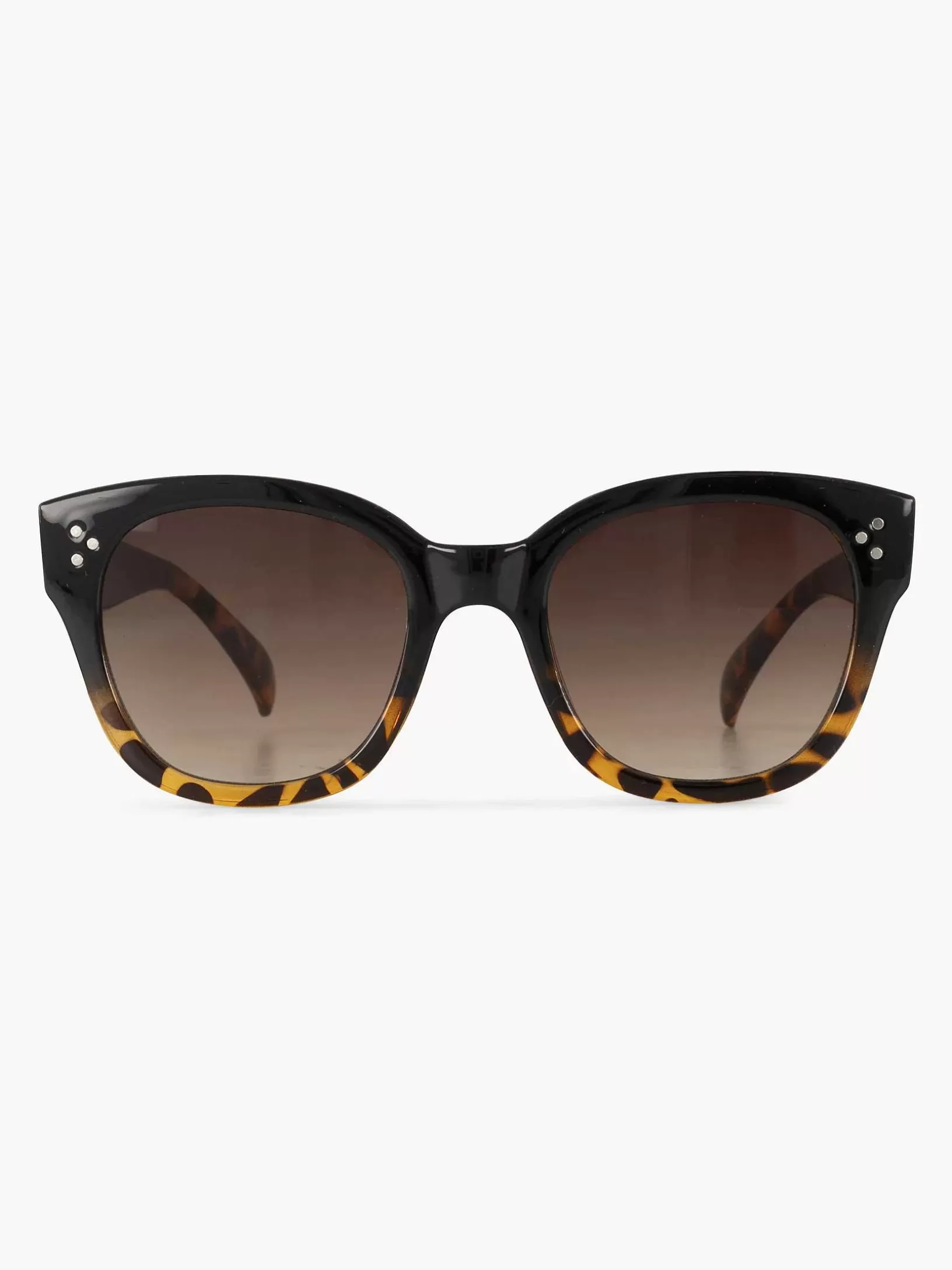 Ladies Graceland Brown Sunglasses