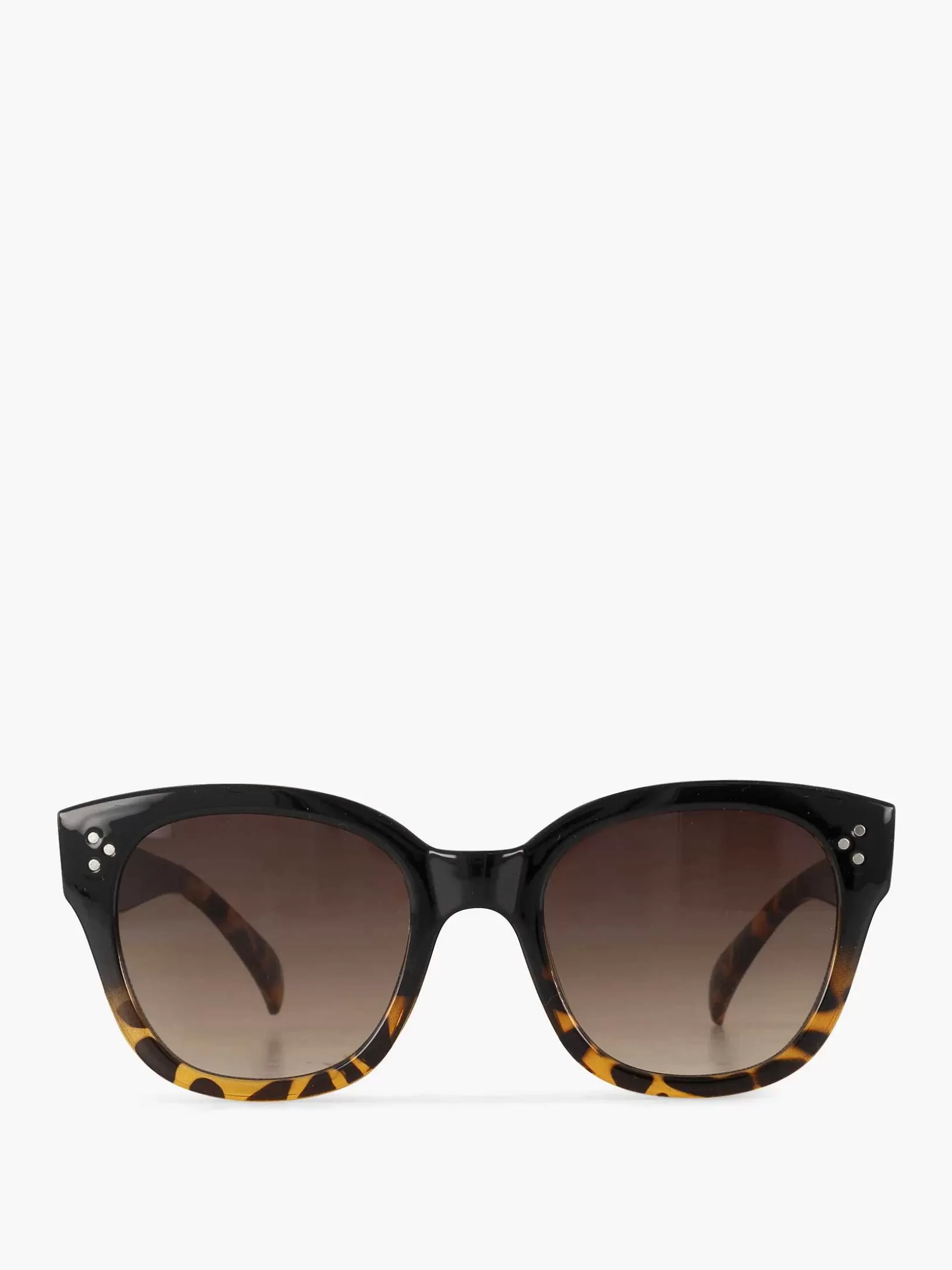 Ladies Graceland Brown Sunglasses